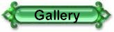The Gallery of Pictures